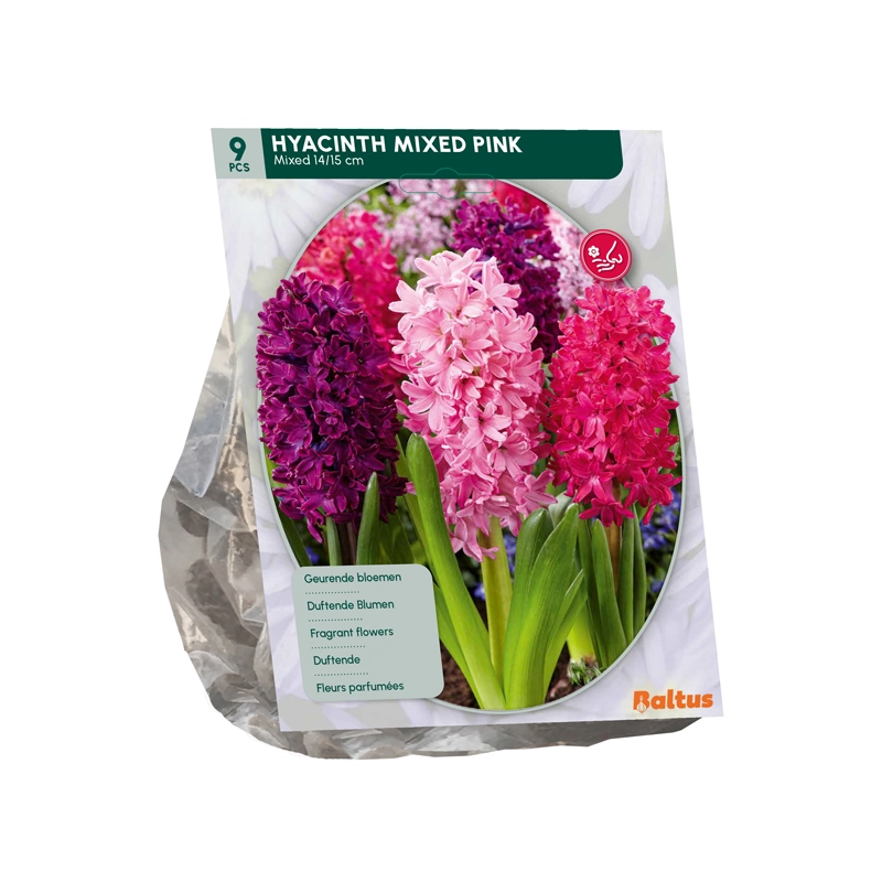 Hyacint Mixed Roze 9 st.