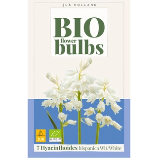 Hyacinthoides Hispanica Wit Biologisch 7 st.