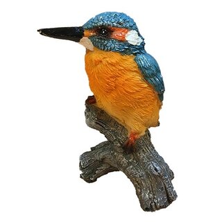 IJsvogel Op Stam - S