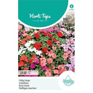 Horti Tops Impatiens, Vlijtig Liesje Safari F2 gemengd