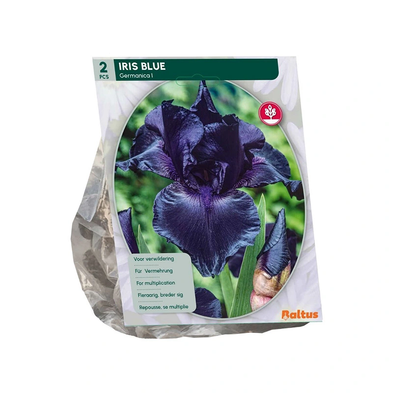 Baltus Iris Germanica Donkerblauw - 2 st.