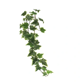 Kunstplant Ivy Chicago Hanger S Variegated - 80 cm
