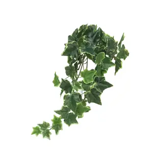 Kunst Hangplant Ivy Chicago hanger M variegated 46cm
