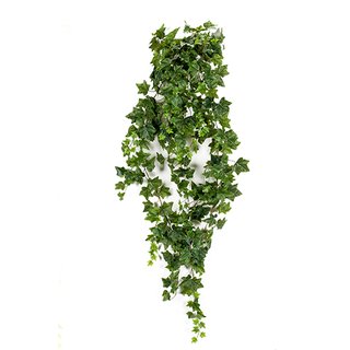 Emerald Ivy hanging bush 180cm green