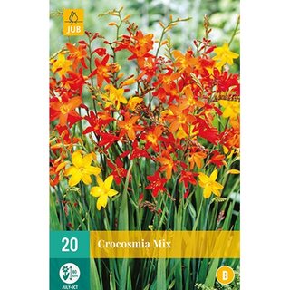 JUB Crocosmia mix - 20 st.