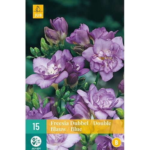 JUB Freesia dubbel blauw - 15 st.
