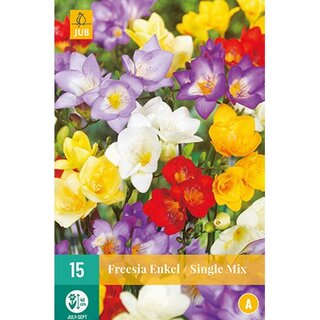 JUB Freesia dubbel mix - 15 st. | De Boet
