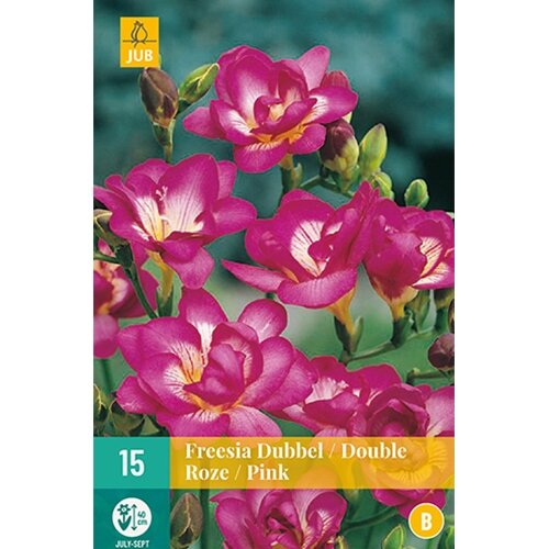JUB Freesia dubbel roze - 15 st.
