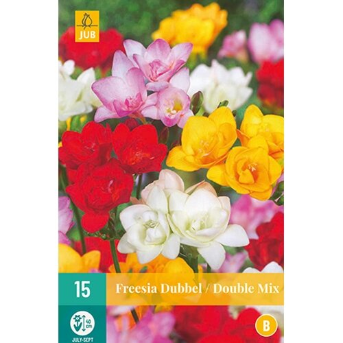 JUB Freesia enkel mix - 15 st.