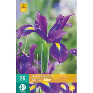 JUB Iris hollandica blauw - 25 st.