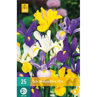 JUB Iris hollandica mix - 25 st. | De Boet