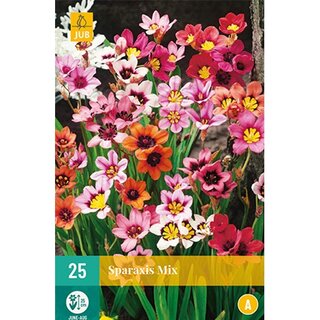 JUB Sparaxis mix - 25 st. | De Boet