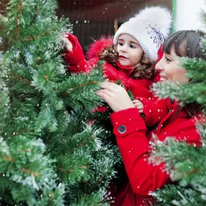 Kerstbomen