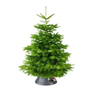 Elho Kerstboomstandaard Nordman Ø39 cm - Antraciet - afbeelding 2