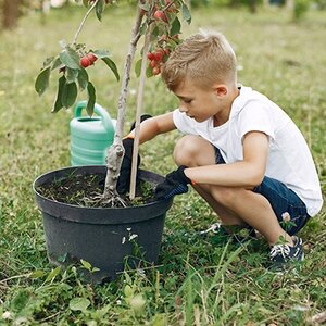 Kindertuingereedschap