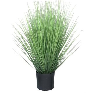 Kunst King Festuca incl pot - 60cm