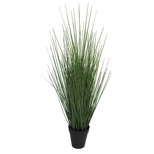 Kunst King Festuca incl pot - 61cm