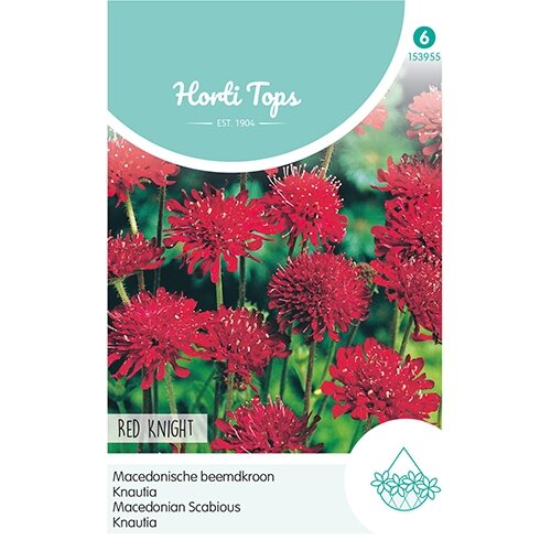 Horti Tops Knautia, Macedonische beemdkroon Red Knight - afbeelding 1