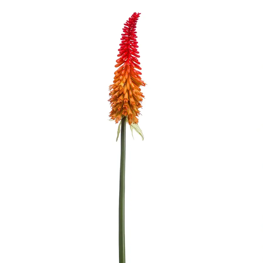 Kunst Kniphofia spray red/orange 85cm