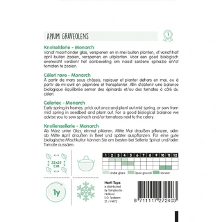 Horti Tops Knolselderij Monarch - afbeelding 2