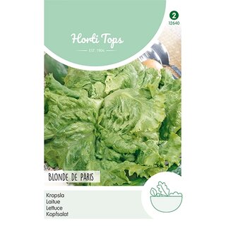 Horti Tops Kropsla Blonde de Paris (Sla-Andijvie) | De Boet