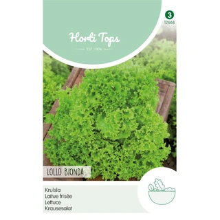 Horti Tops Krulsla Lollo Bionda koopt u bij De Boet