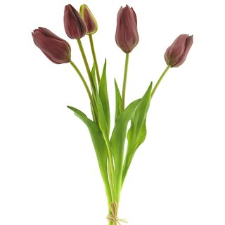 Kunst Arentzs tulip bundle sally 5 st. aubergine - 49 cm
