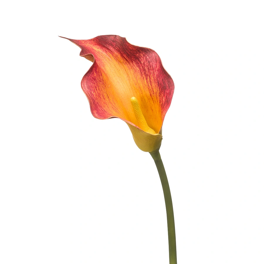 Kunst Calla Lily Spray Red/Yellow - 83 cm