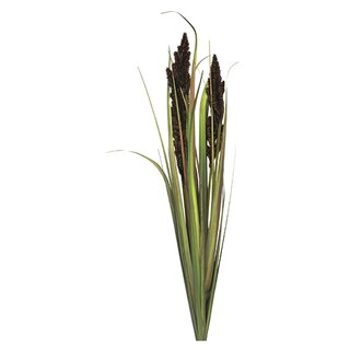 Kunst Cortaderia Monica bush purple - 89 cm