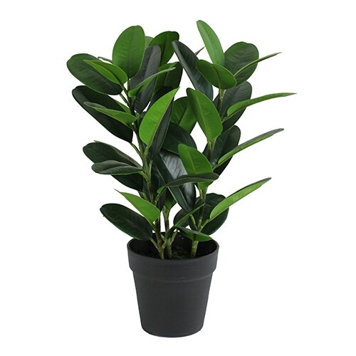 Kunst Garcinia Bonsai - 45 cm