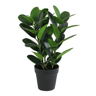 Kunst Garcinia Bonsai - 45 cm