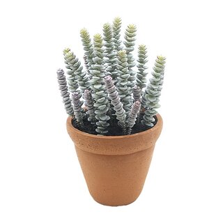 Kunst hottentot in pot - 30 cm