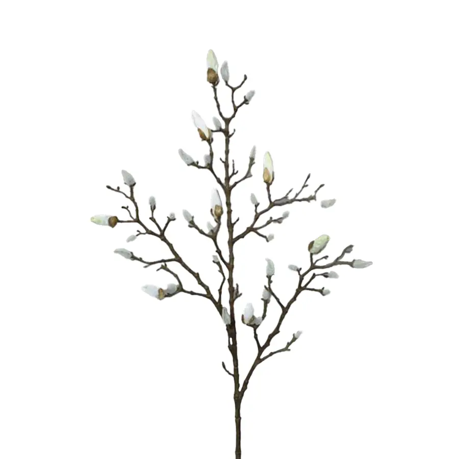 Kunst Magnolia Tak Cream - 103 cm