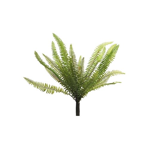 Kunst Nephrolepis Boston green - 40 cm