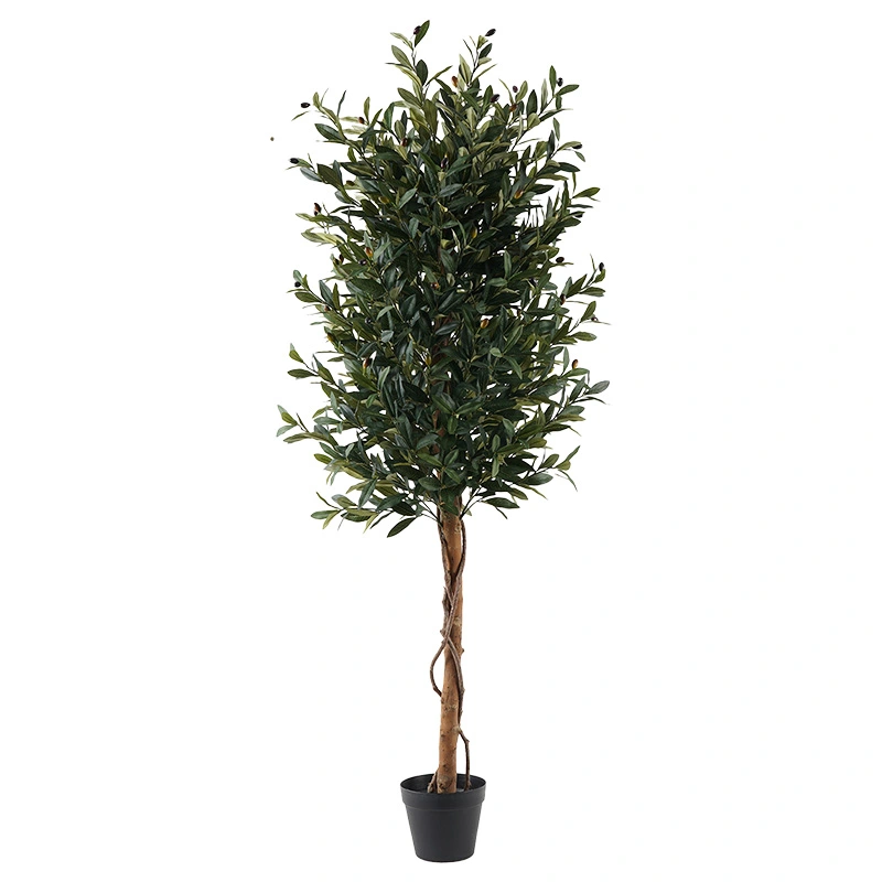 Kunst Olijf op Stam 150 cm Tuincentrum De Boet