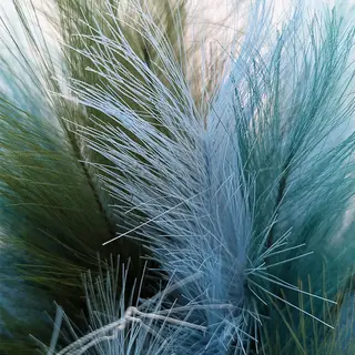 Kunst Pampas Boeket - Blauw - afbeelding 3