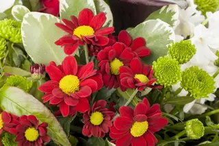 Kunstbloem Chrysant Steel Geel/Oranje - 71 cm - afbeelding 6