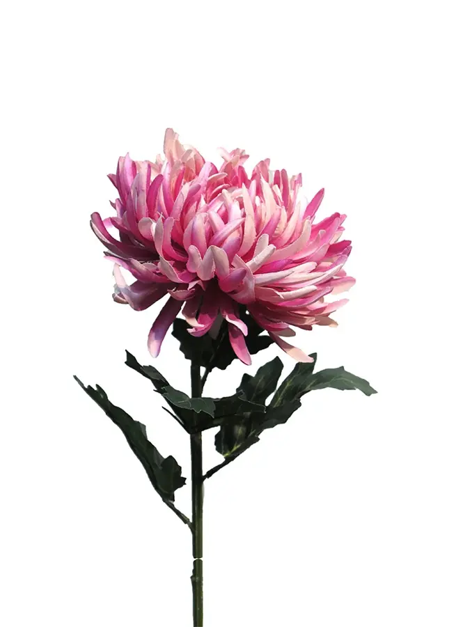 Kunstbloem Chrysanthemum Iba Mauve - 63 cm