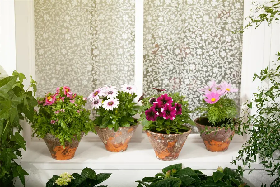 Kunstbloem Cosmos Oranje - 92 cm - afbeelding 3