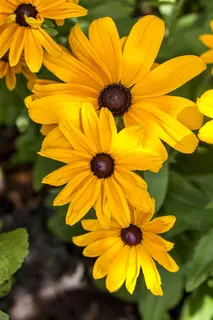 Kunstbloem Rudbeckia Oranje/Rood - 90 cm - afbeelding 3