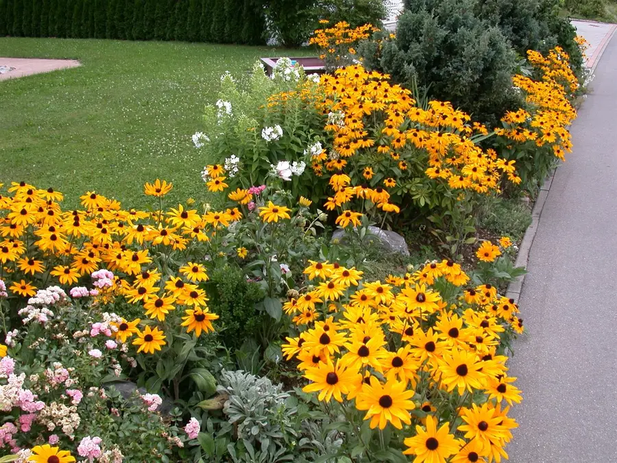 Kunstbloem Rudbeckia Oranje/Rood - 90 cm - afbeelding 5