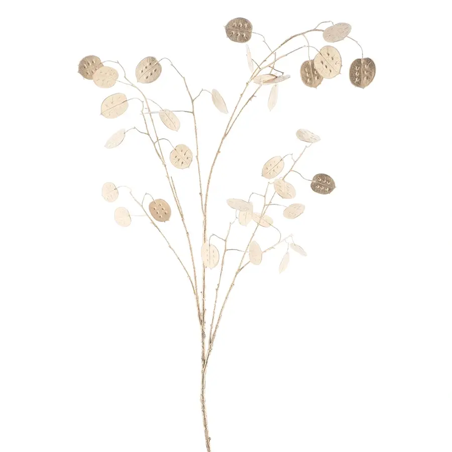 Kunstbloem Silver dollar branche Silja gold 125 cm
