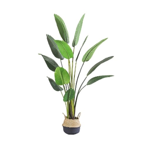 Kunstplant Blad Strelitzia Soft - 120 cm