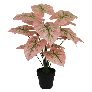 Kunstplant Caladium pink- 50cm