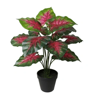 Kunstplant Caladium rood - 40cm