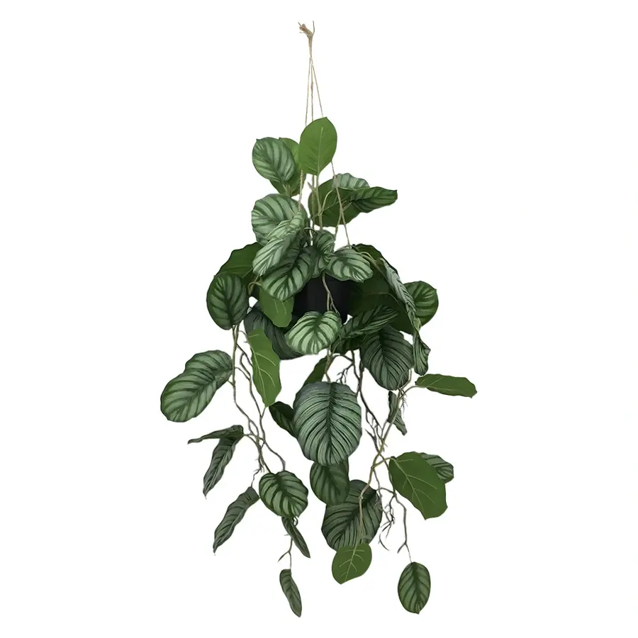 Kunstplant Calathea Hang - 150 cm