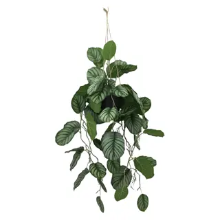 Kunstplant Calathea Hang - 150 cm | De Boet
