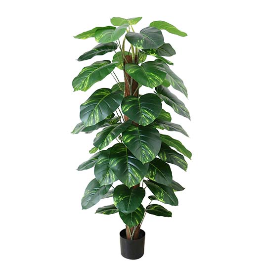 Kunstplant Dieffenbachia - 152 cm
