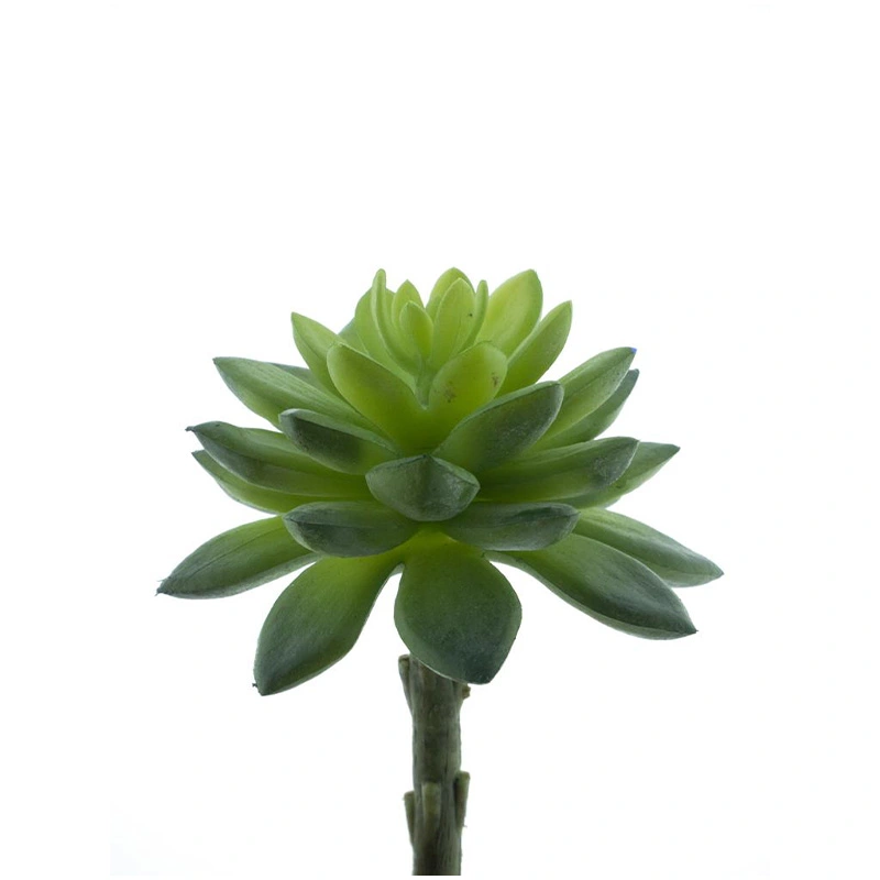 Kunstplant Echeveria Pick It Groen - 13 cm