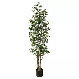 Kunstplant Ficus Benjamina - 165 cm